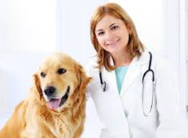 veterinary medicine manufacturers in india